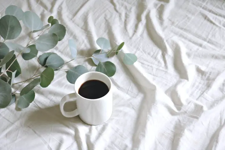 Kann man Zimmerpflanzen mit Kaffee gießen
