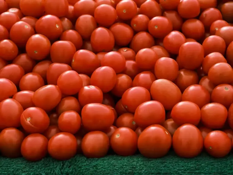Tomaten Samen einlagern