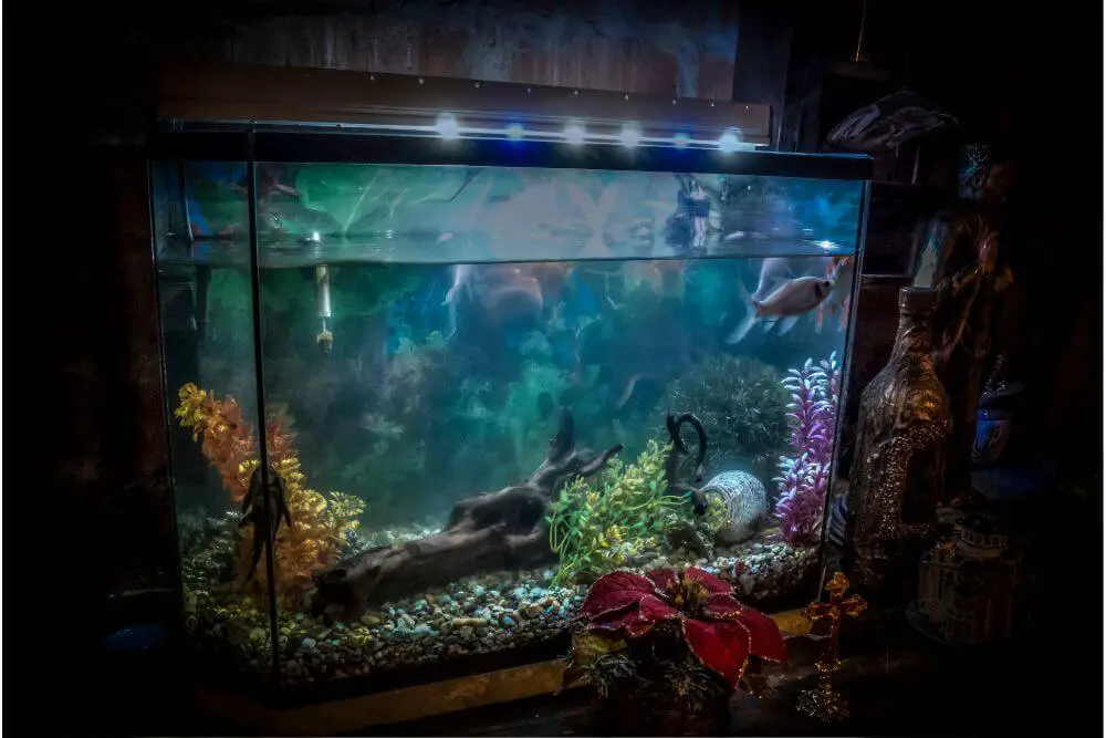 Automatisiertes Aquarium
