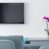 Orchideen neben Fernseher - eine gute Idee?