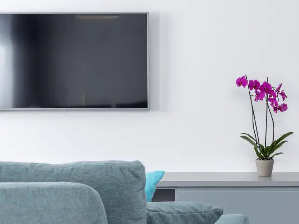 Orchideen neben Fernseher - eine gute Idee?