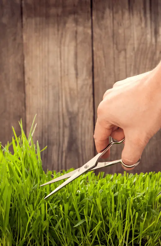 Sind neue Rasenmähermesser geschliffen?