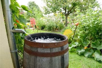 Ist es erlaubt Regenwasser zu sammeln