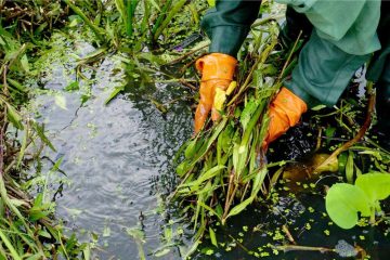 Macht ein Teich viel Arbeit